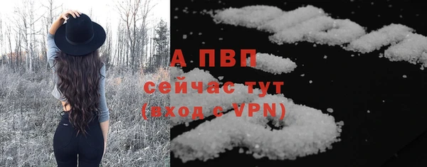 крисы Медвежьегорск