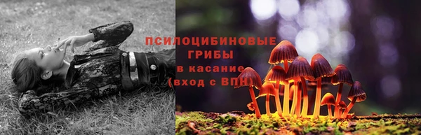 крисы Медвежьегорск