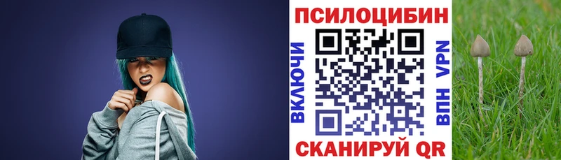 Купить где  Ермолино  Галлюциногенные грибы ЛСД 